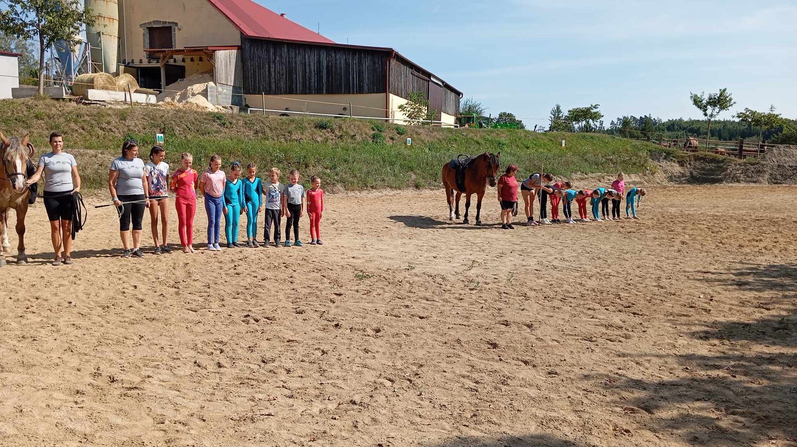 Paravoltižní tým s koněm