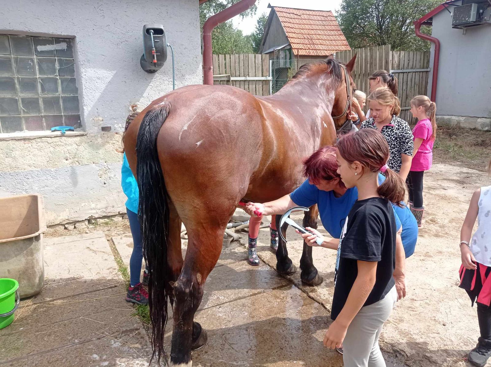 Ošetření kopyt